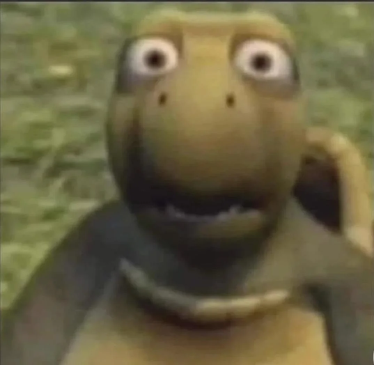 Shocked turtle profile picture